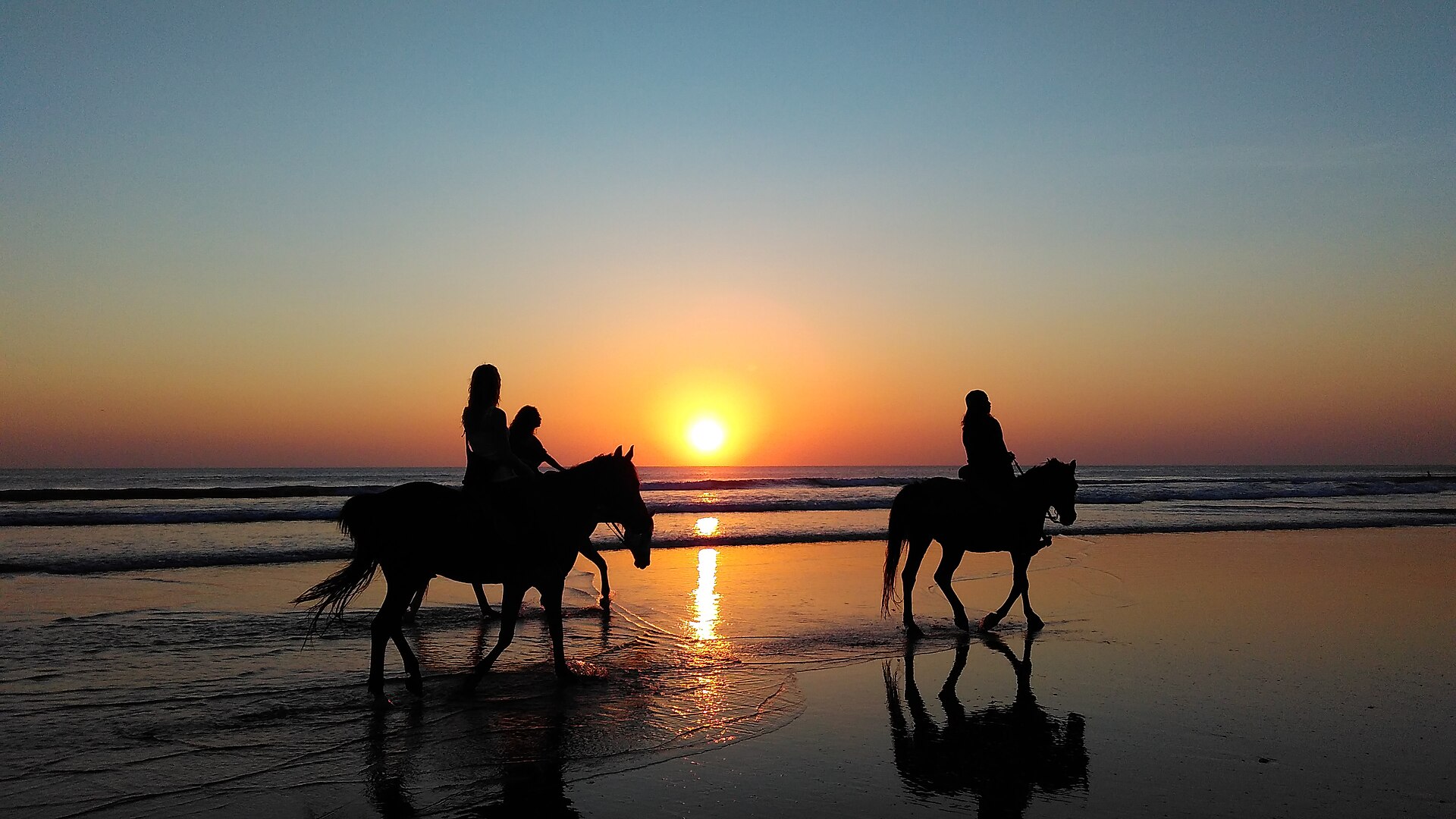 horseAndNight