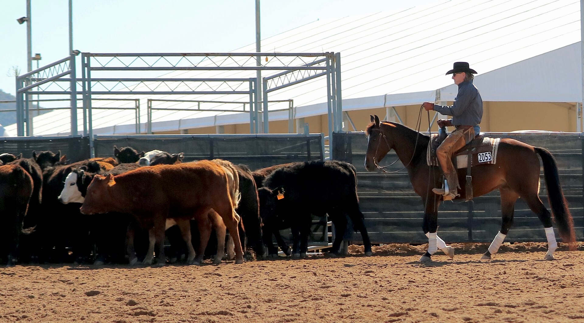 Cutting at Scottsdale 2 (17).jpg