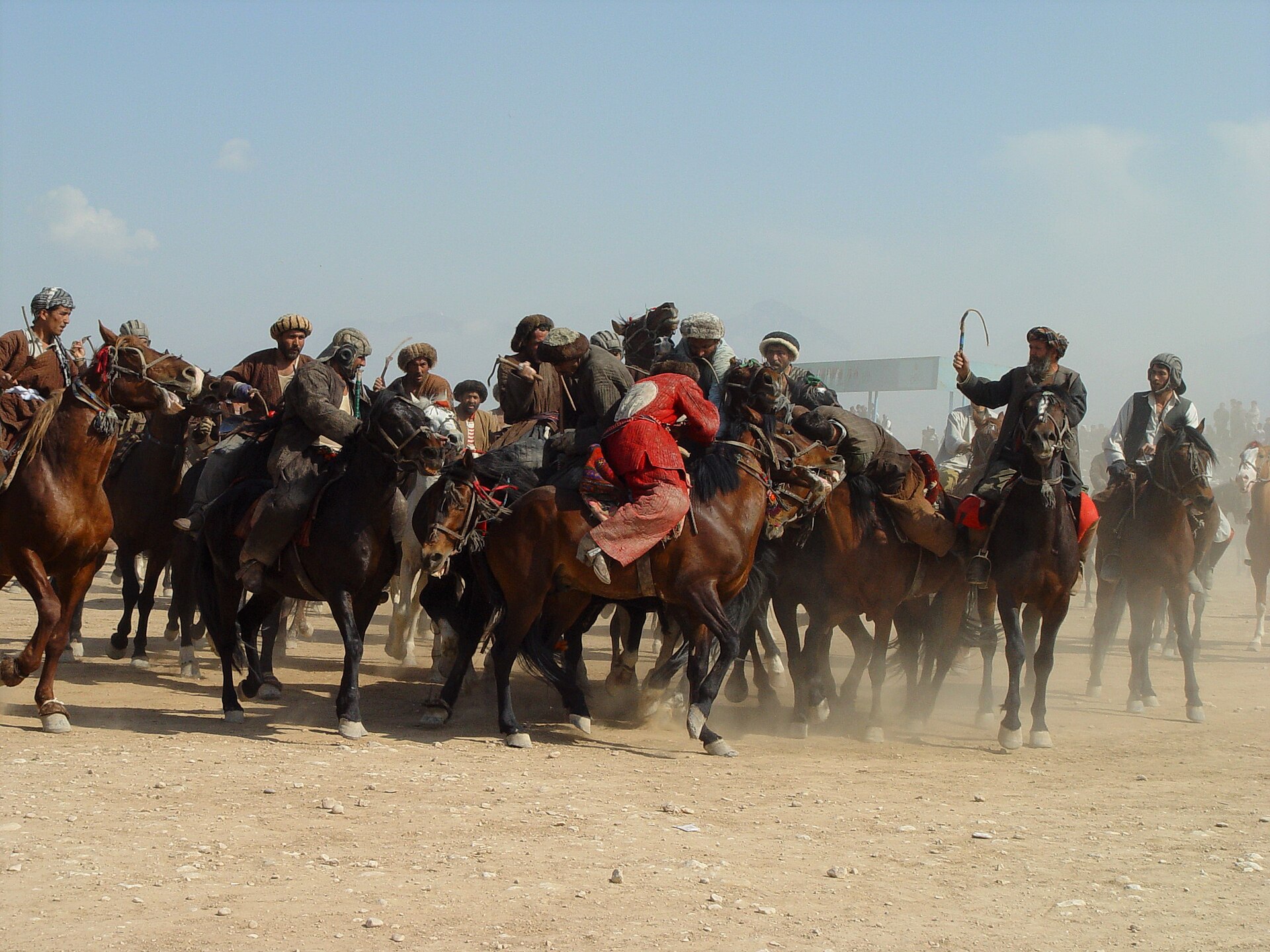 horse3